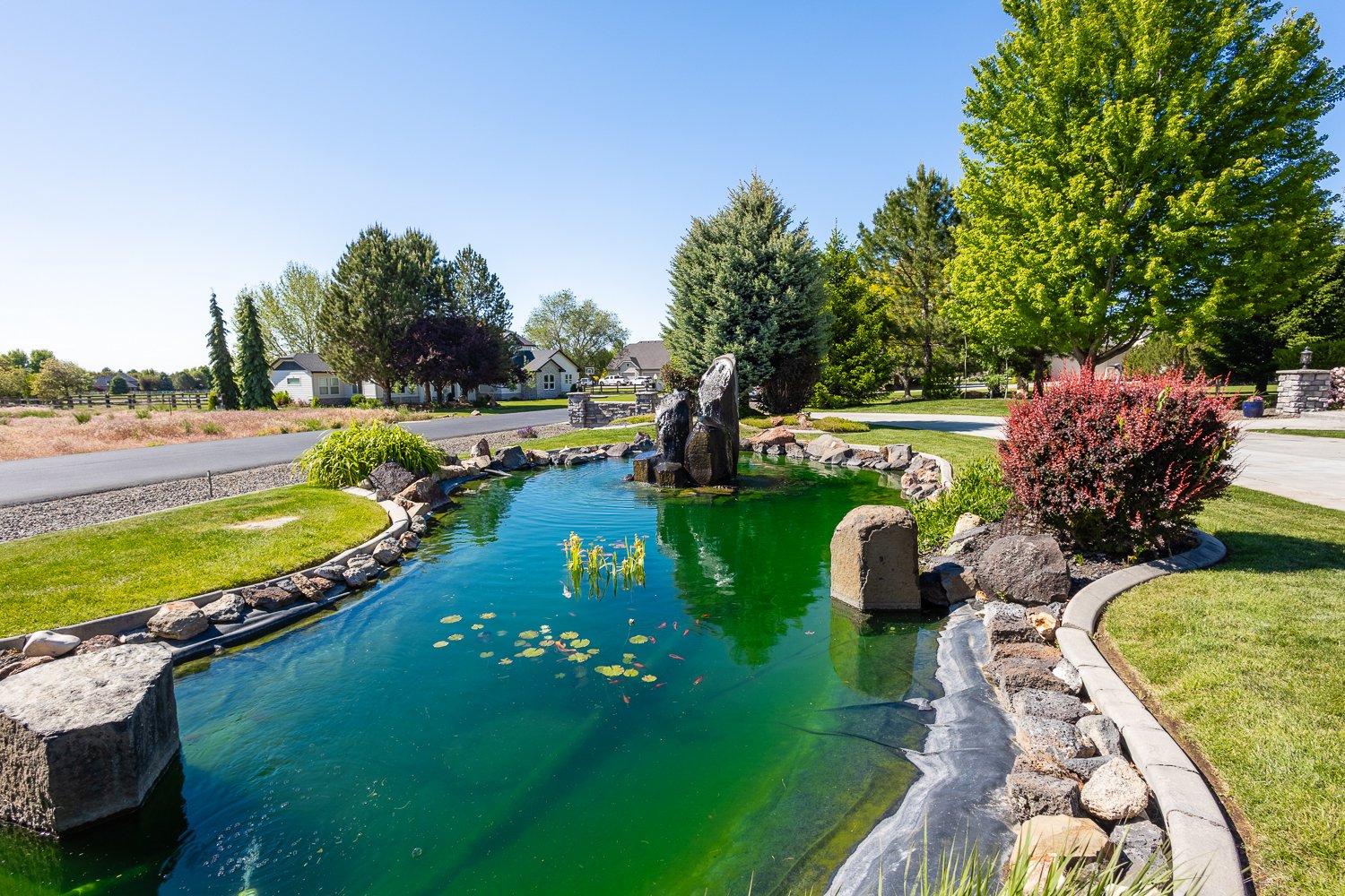 Iron Horse Estates koi pond